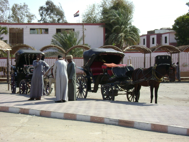 EGYPTE 2008 EDFOU CALECHE - 2