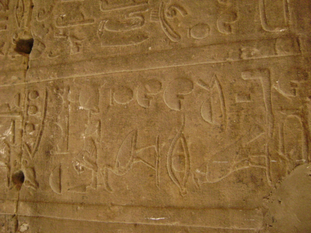 EGYPTE 2008 EDFOU TEMPLE HORUS - 14