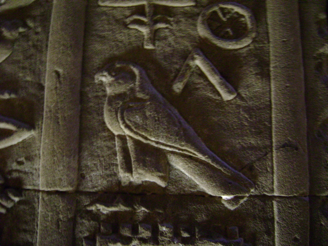 EGYPTE 2008 EDFOU TEMPLE HORUS - 29