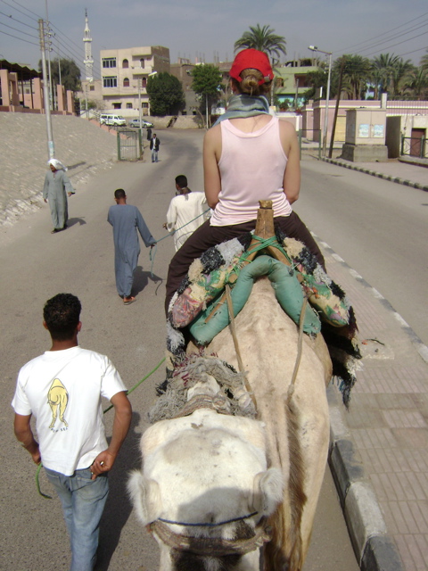 EGYPTE 2008 PROMENADE DROMADAIRE LOUXOR - 5