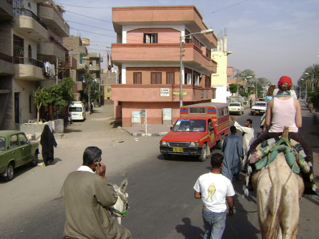 EGYPTE 2008 PROMENADE DROMADAIRE LOUXOR - 8