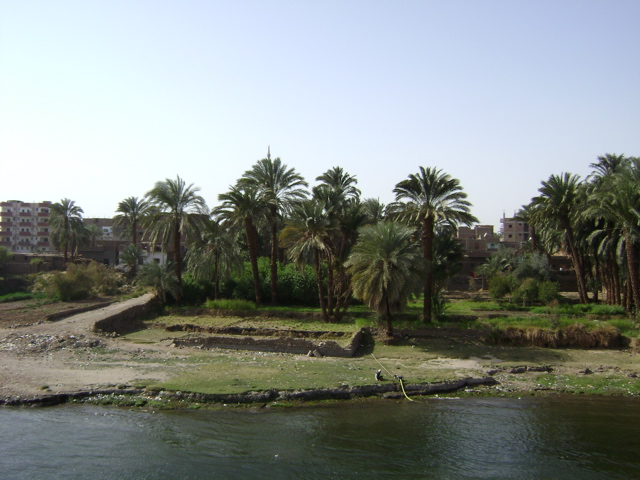 EGYPTE 2008 BATEAU - 10