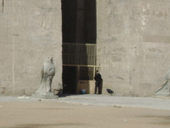 EGYPTE 2008 EDFOU TEMPLE HORUS - 5