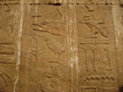 EGYPTE 2008 EDFOU TEMPLE HORUS - 10