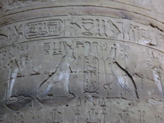 EGYPTE 2008 EDFOU TEMPLE HORUS - 11