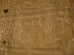 EGYPTE 2008 EDFOU TEMPLE HORUS - 14