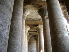 EGYPTE 2008 EDFOU TEMPLE HORUS - 15