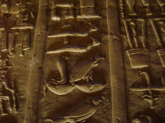 EGYPTE 2008 EDFOU TEMPLE HORUS - 28