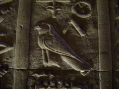 EGYPTE 2008 EDFOU TEMPLE HORUS - 29