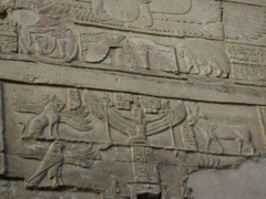 EGYPTE 2008 KOM OMBO - 12