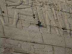 EGYPTE 2008 KOM OMBO - 15