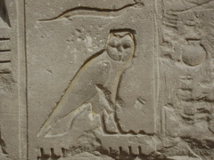 EGYPTE 2008 KARNAK - 25
