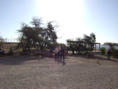 EGYPTE 2008 ABU SIMBEL - 19