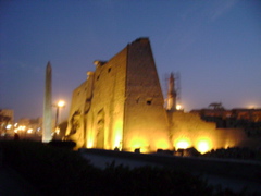 EGYPTE 2008 TEMPLE DE LOUXOR - 1