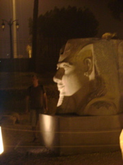 EGYPTE 2008 TEMPLE DE LOUXOR - 35