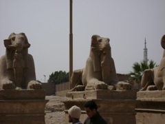 EGYPTE 2008 KARNAK - 71