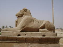EGYPTE 2008 KARNAK - 72