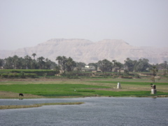 EGYPTE 2008 BATEAU - 5
