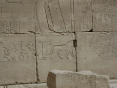 EGYPTE 2008 KARNAK - 11
