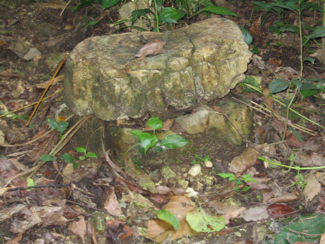 palenque - 65