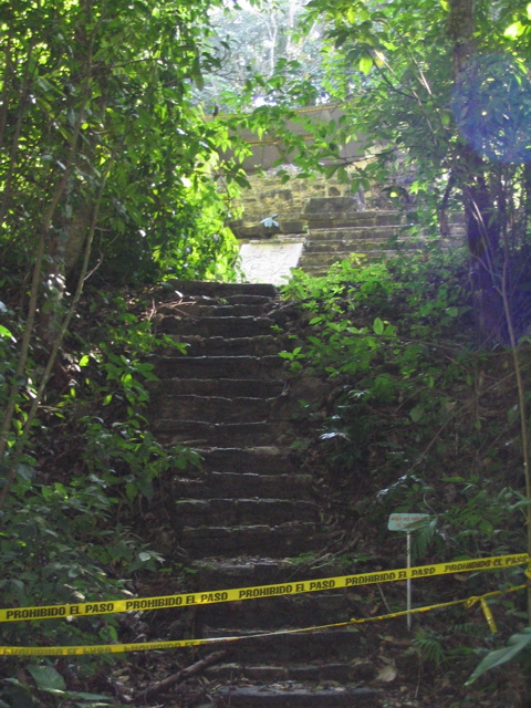 palenque - 68
