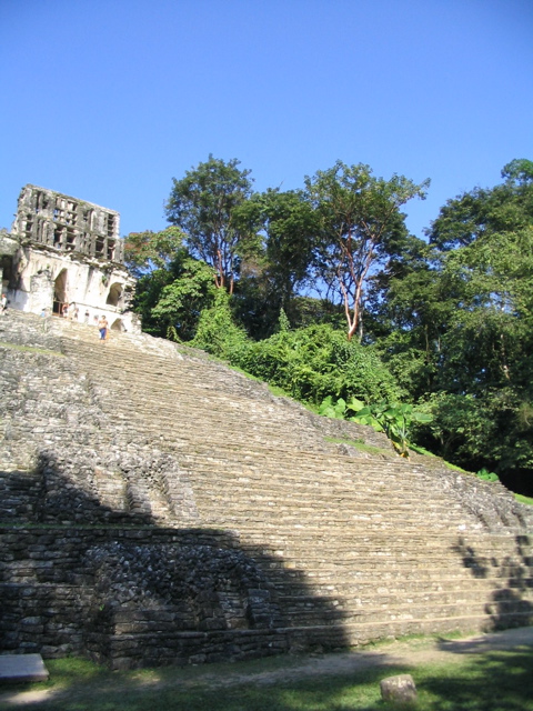 palenque - 81
