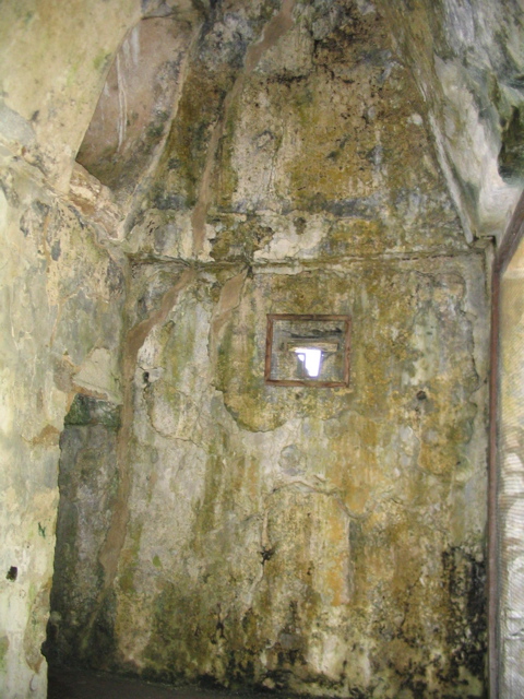 palenque - 85