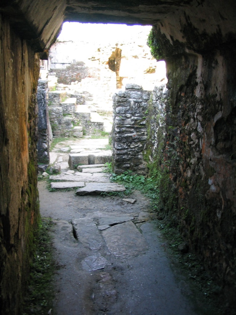 palenque - 167