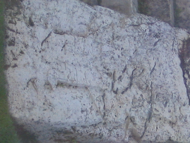 palenque - 198