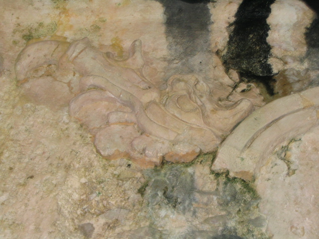 palenque - 214