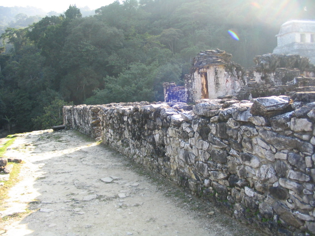palenque - 218