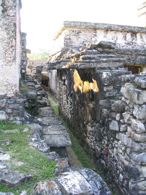 palenque - 228