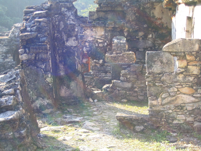 palenque - 231
