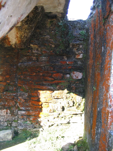 palenque - 233