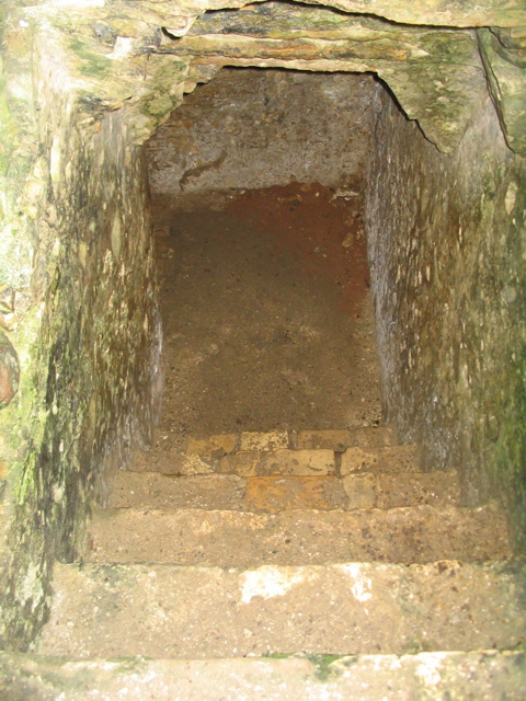 palenque - 237