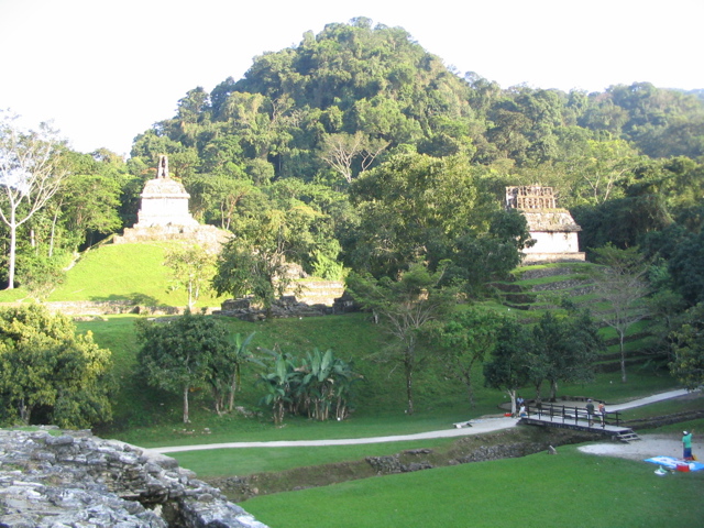 palenque - 244