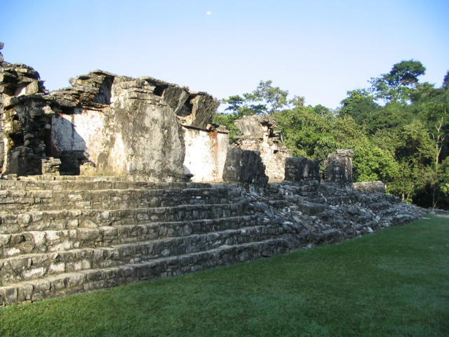 palenque - 245