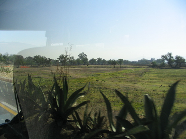 TEOTIHUACAN - 1