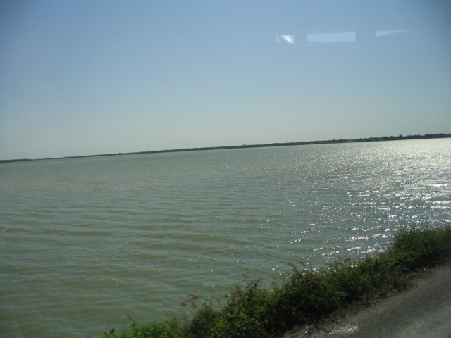 golfe mexique - 16