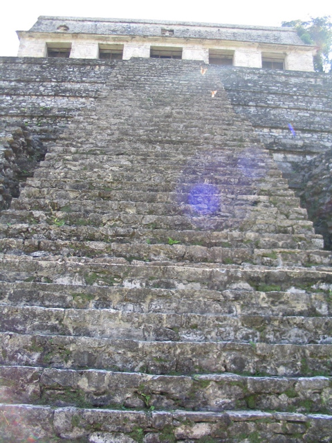 palenque - 44