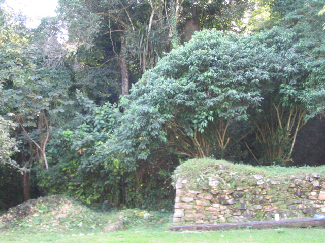 palenque - 53