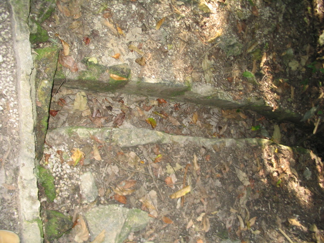 palenque - 64