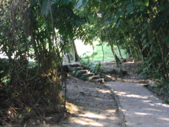 palenque - 67