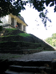 palenque - 70