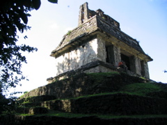 palenque - 71