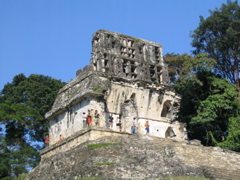palenque - 73