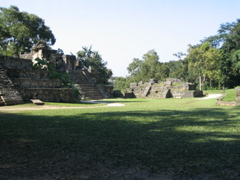 palenque - 74