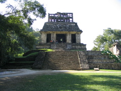 palenque - 75