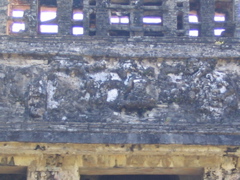 palenque - 78