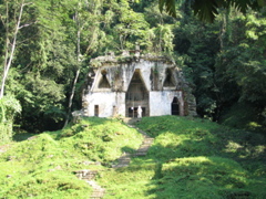 palenque - 79
